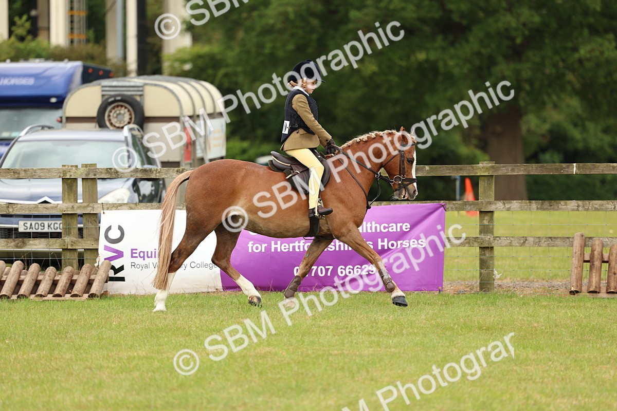 SBM_10240 - Class 44-45 - LIHS BSPS Open Nursery and Cradle Stakes