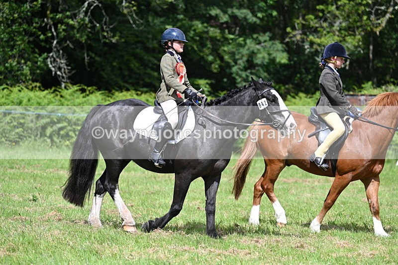 WJ7_1883 - Class 9 Pony Club Pony