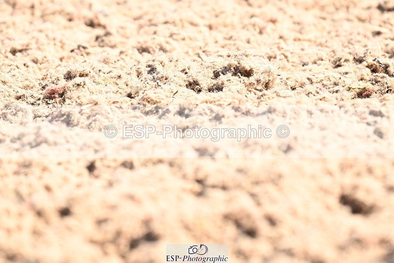 240621A-100214-01685 - Cls 2 BD Prelim 19