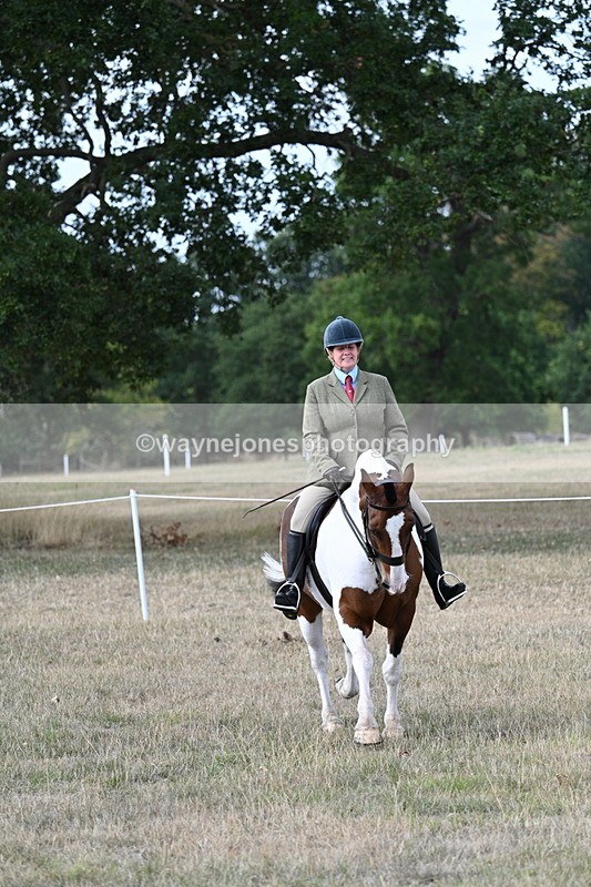 WJ7_7232 - Class 14 Ridden Coloured