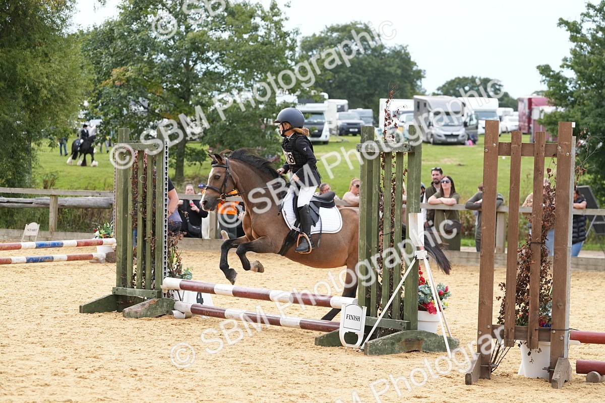 SBM_70598 - J3 - Mini Tour Junior Pony 40cm Championship