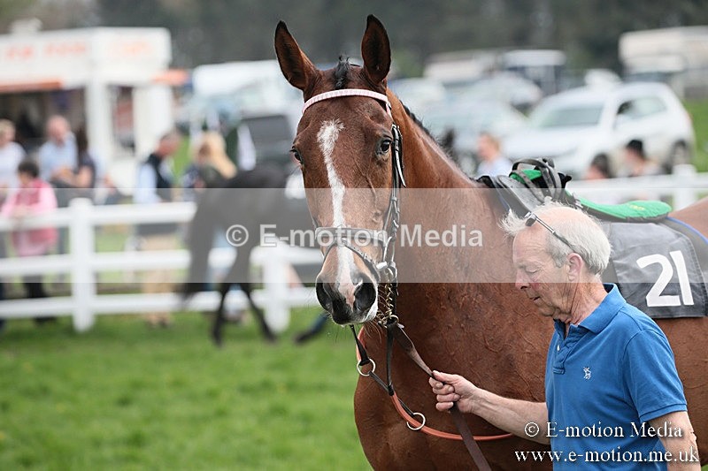 PtP 210418 168 - South & West Wilts Point-to-Point Larkhill 21/04/18