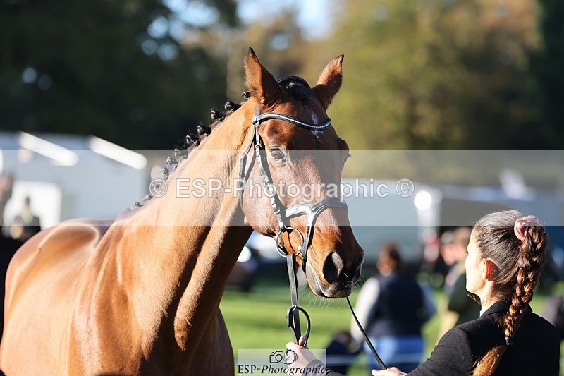 241027-085359-14883 - 301-Ilaria.Serra-DREAM.MACHINE