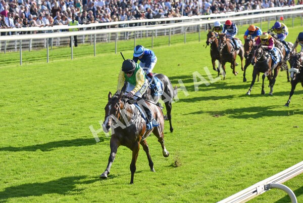 yr08102021r2-19 - Race 2 2.40pm Racing to School EBF Novice Stakes