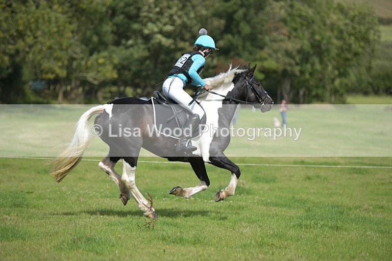 RAY_8650 - Class 2: Trekenning Open: Wall