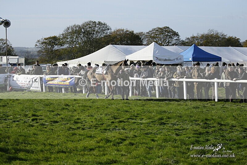 PtP 250921 086 - Point-to-Point Badbury Rings Dorset 07/11/2021