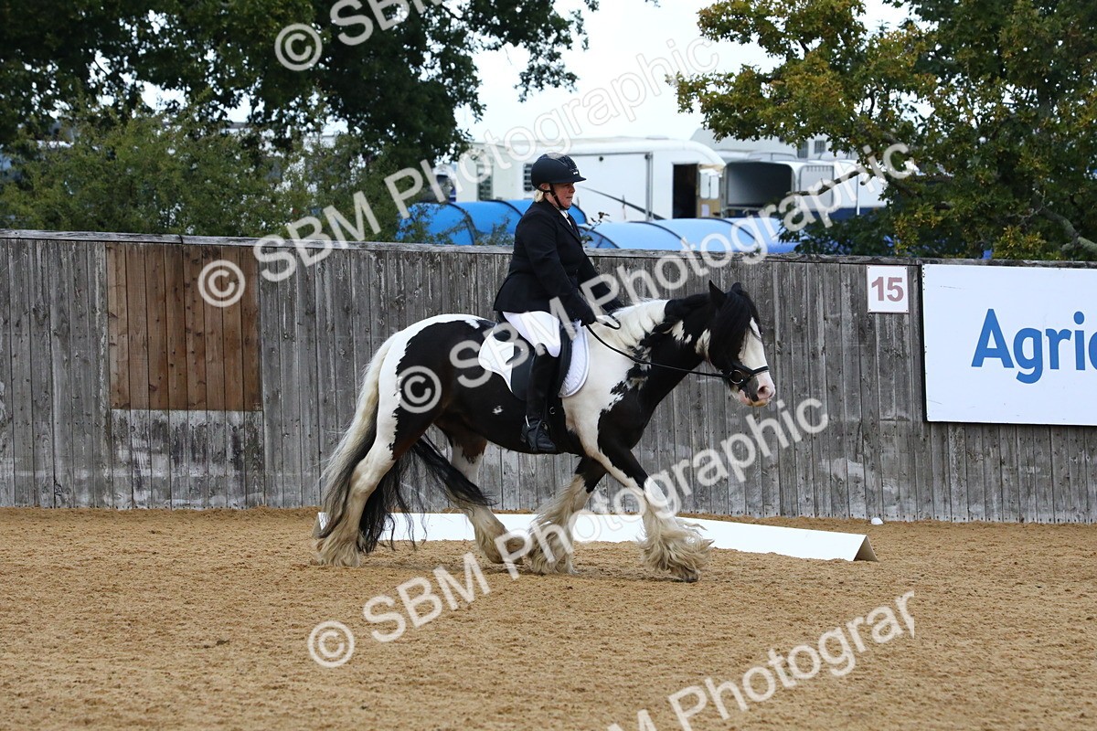 SBM_21039 - D5 - Small Tour Championshop Intro 2