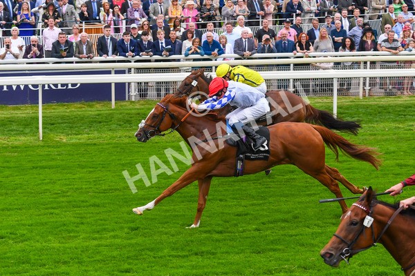 230823-Race 6-Designer-0806 - Race 6 4.45pm IRE Incentive, It Pays To Buy Irish Fillies' Handicap