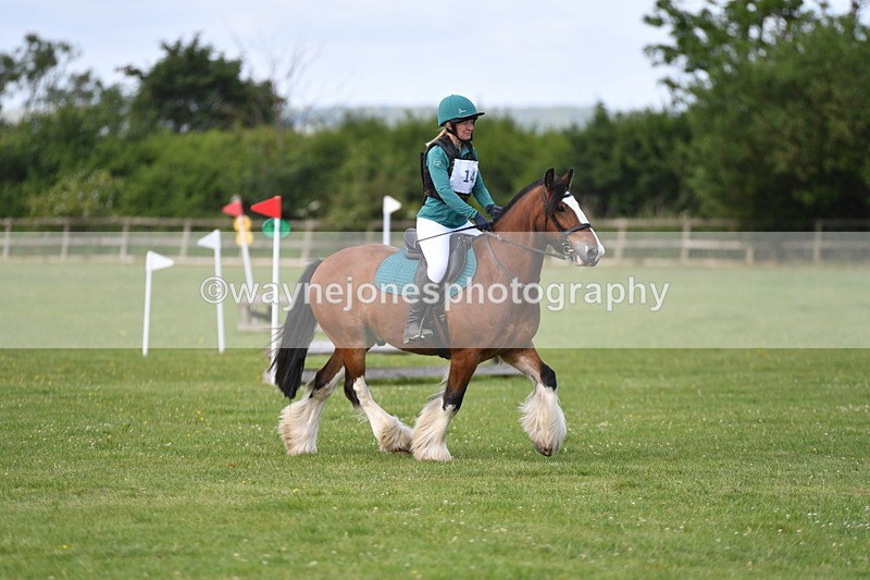 WJ5_2634 - Class 2 40cm