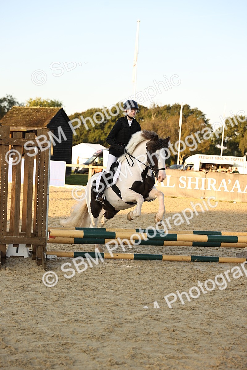 SBM_56956 - J11 - Junior Pony 50cm Championship