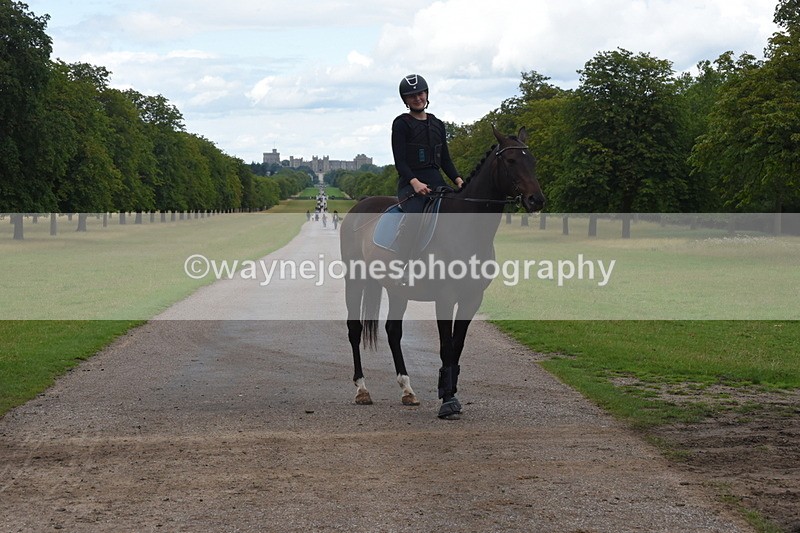 TT3_0420 - Time at Crossing 14:53 to 1526