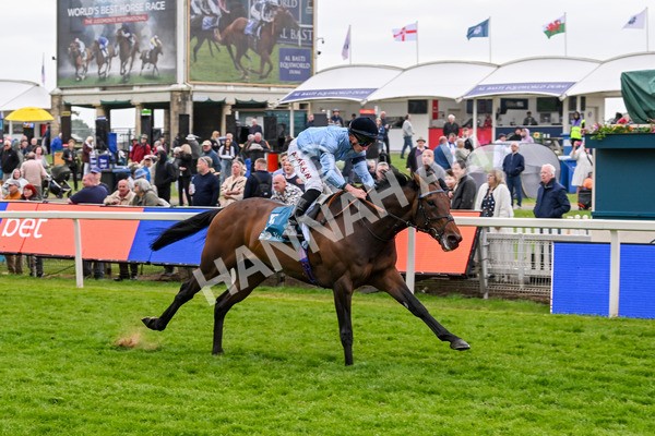 150525-Merchant-5337 - Race 7 5.25pm Haxby Handicap