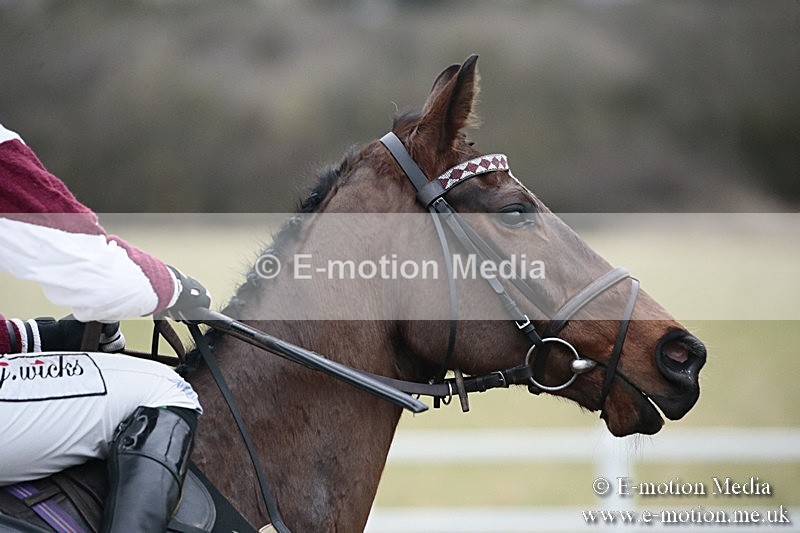PtP 180218 714 - Combined Services Point-to-Point Larkhill 18/02/18