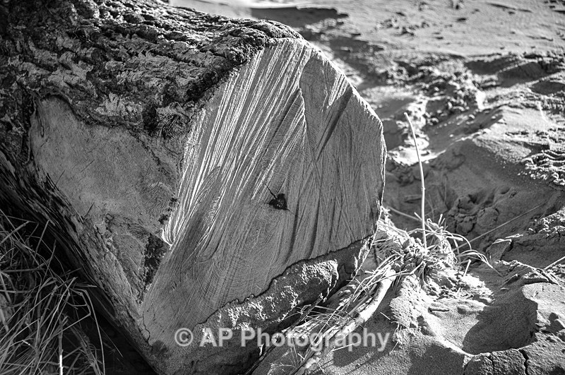Ynyslas_1954 - Ynyslas