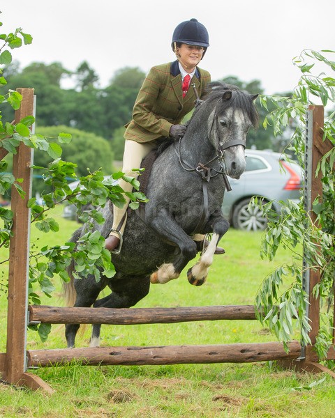 Dunblane show-64 - Dunblane and Doune Show Ring 1