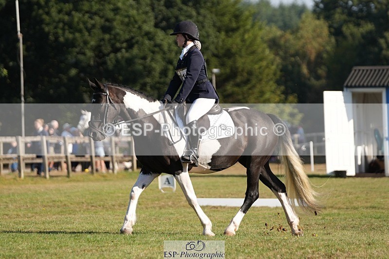 250823A-090431-25617 - Arena A