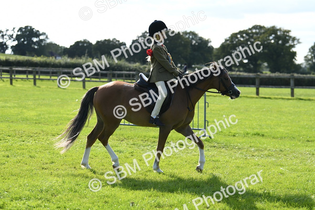 SBM_50522 - S21 - Novice & Newcomers 1st Ridden Pony