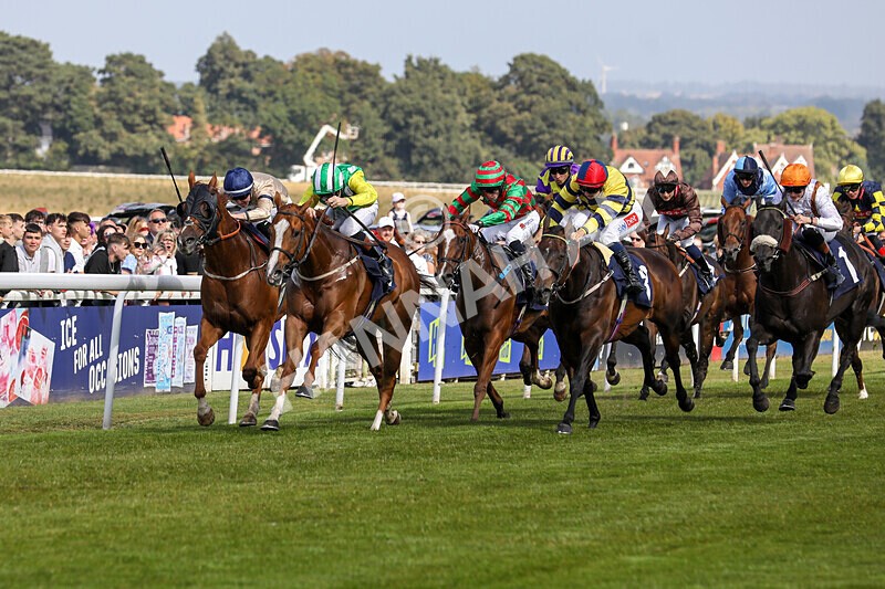 310824-Race 3-Frank The Spark-1322 - Race 3