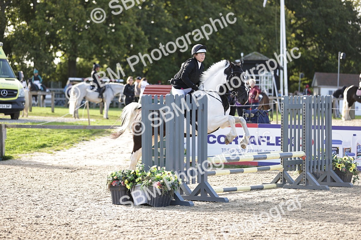 SBM_14956 - J32 - Senior 70cm Championship