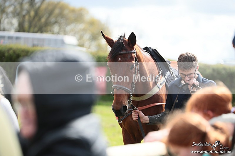 PtP 180426 383 - Worcestershire Hunt PtP Chaddesley Corbett 18/04/26
