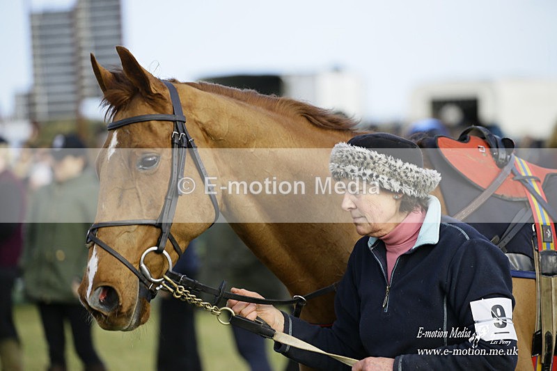 PtP 300122 305 - South Dorset Hunt - Point-to-Point Races 30/01/2022