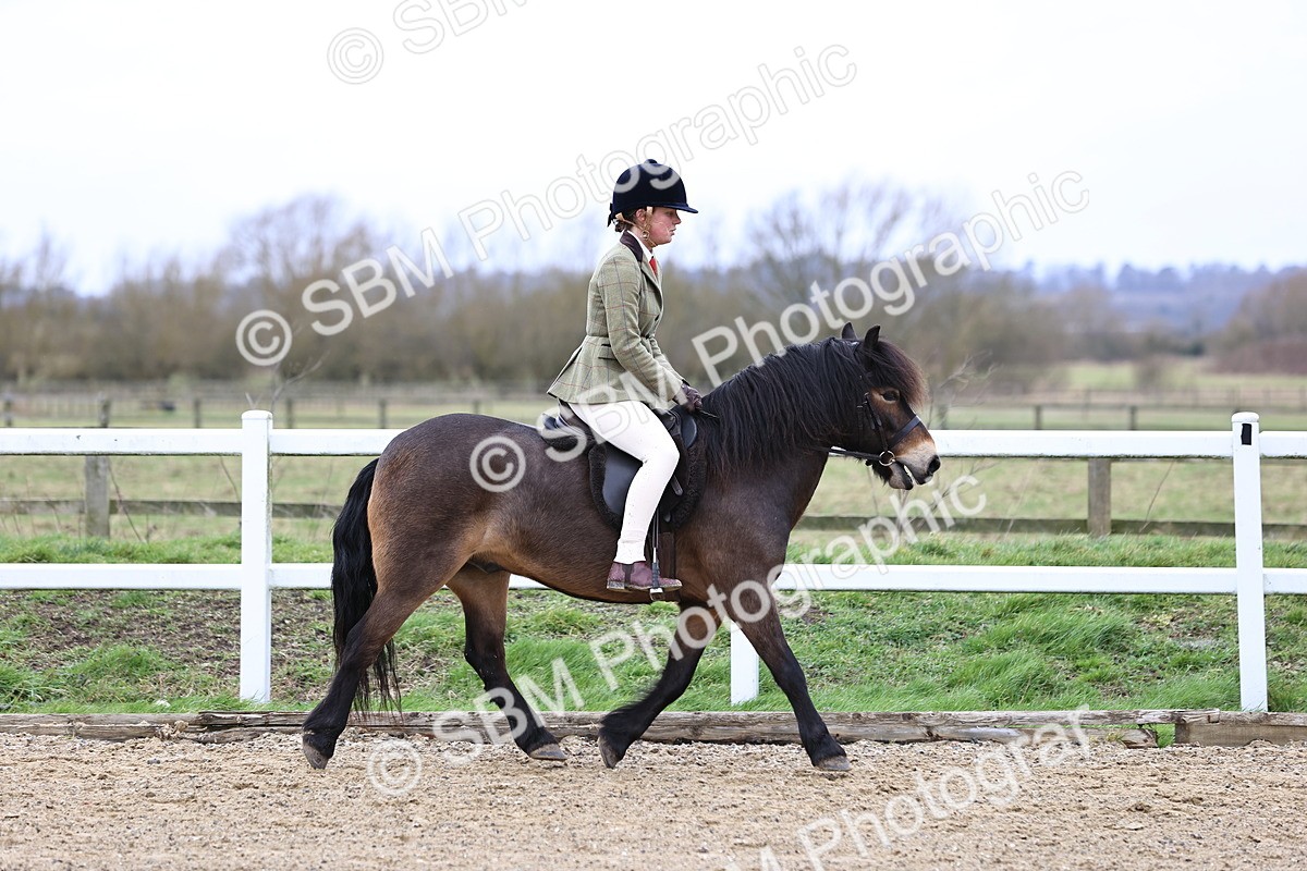 SBM_006741 - Class 29 - 30 - M&M Pure Novice Small-Large Breeds