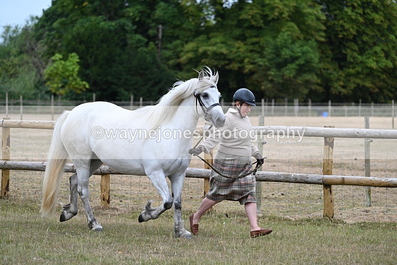 WJ7_8696 - Class 4a Prettiest Mare 14.2hh and over