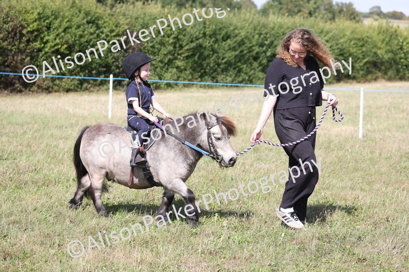 20260906-2752 - Class 25 - Absolute Beginners Pony