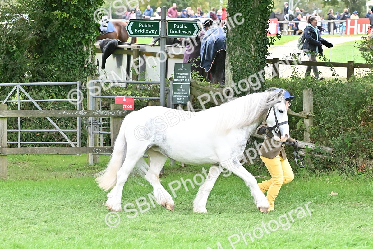 SBM_68566 - S42 - Junior Handler 9-12 Years