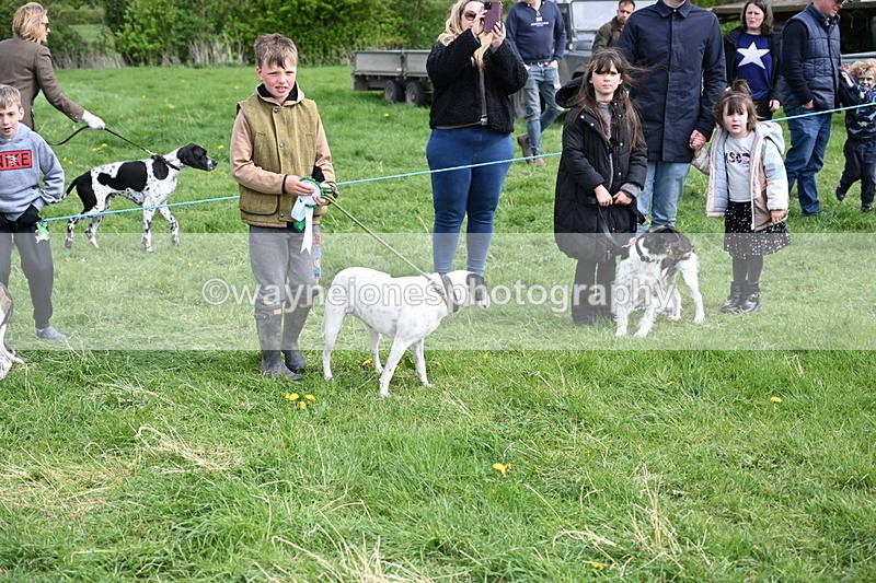 WJ6_8616 - Class 6 Best Rescue