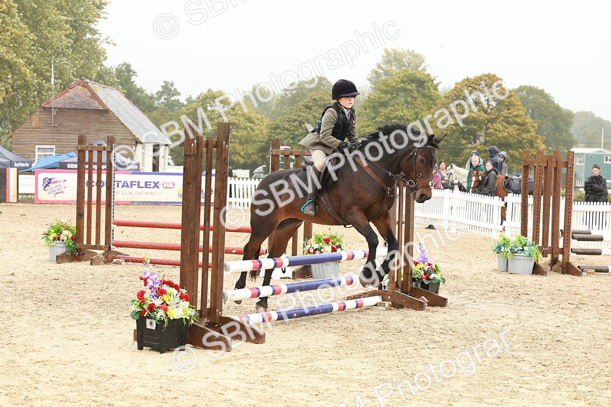 SBM_73291 - Supreme Championship Junior Pony 60cm & 65cm