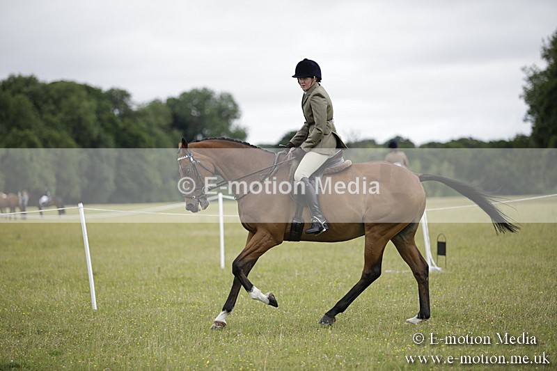 BVR160717-458 - Ring 1 BVRC Show 16/07/17