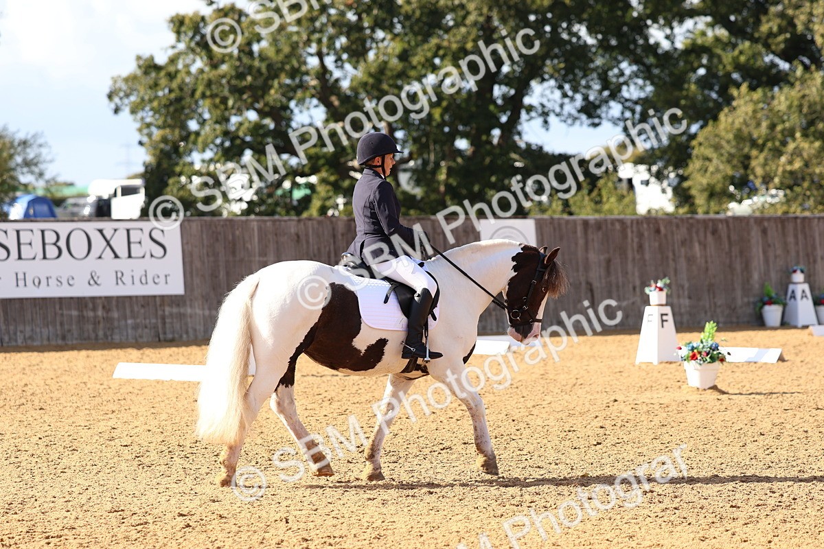 SBM_50454 - D12 - Small Tour Championship prelim 2