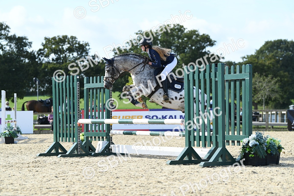 SBM_60729 - j25 - Junior Horse 80cm Championship