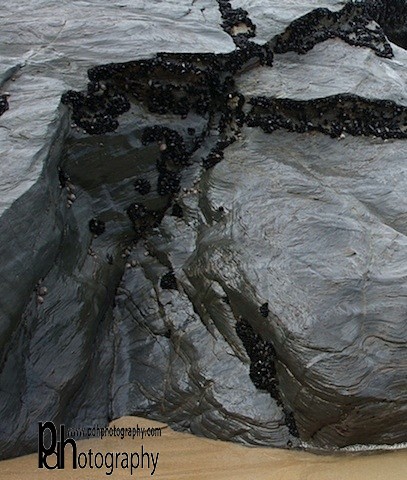 Bedruthan Mussels IMG_3580-Ver - Coastal