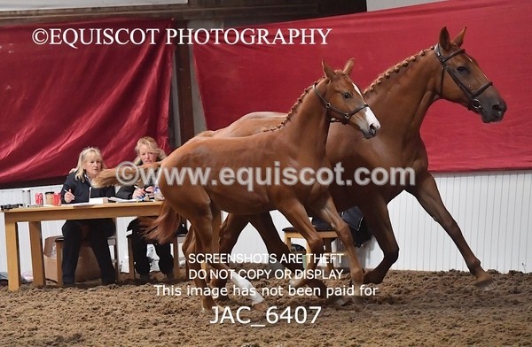 JAC_6407 - 19 Luca