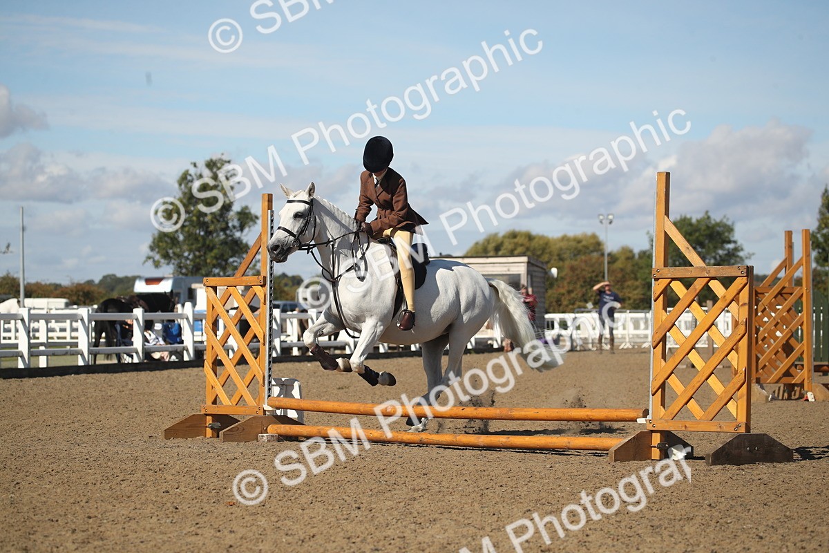 SBM_12745 - Class 504b - Junior Working Veteran - 40cm (20+)