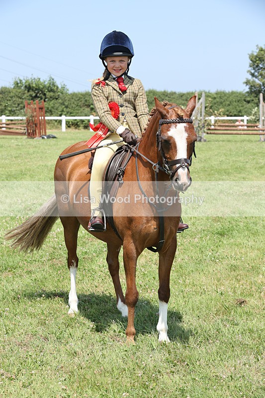 JPP_2930 - Class 21: Working Hunter 60cm