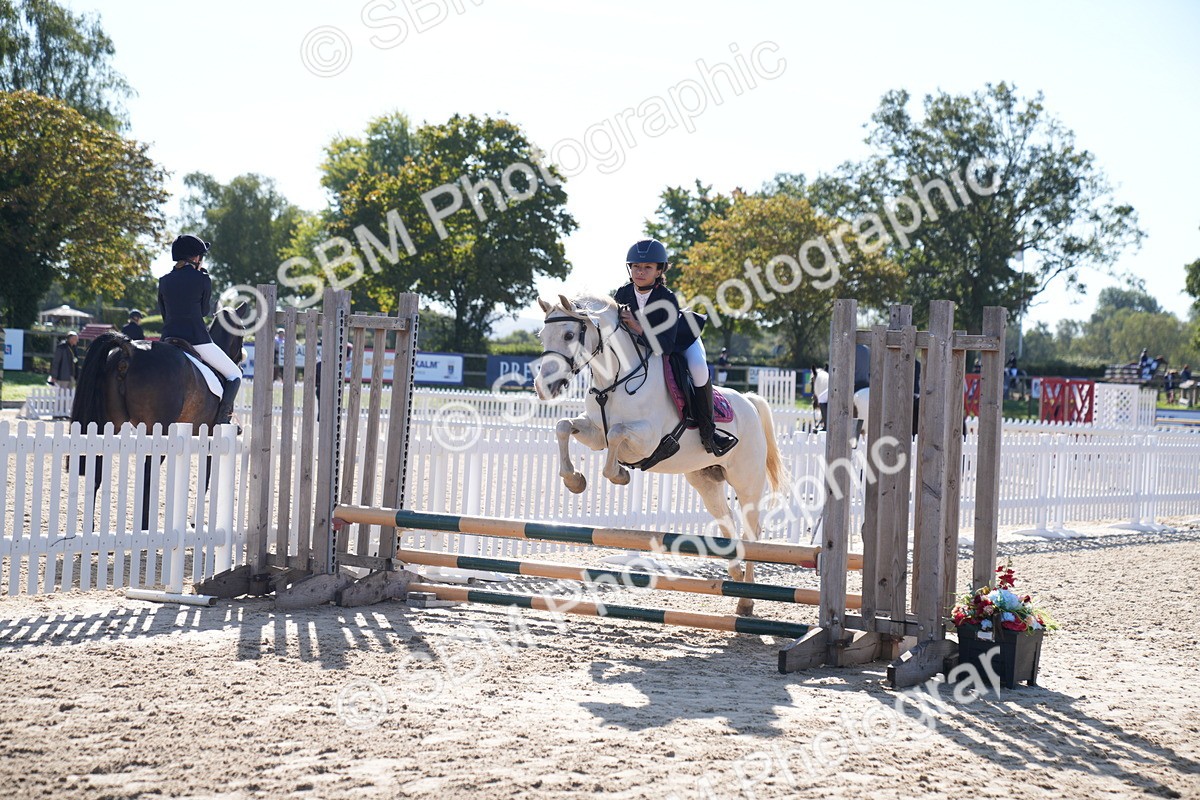 SBM_17593 - J58 - Clear Round 60cm