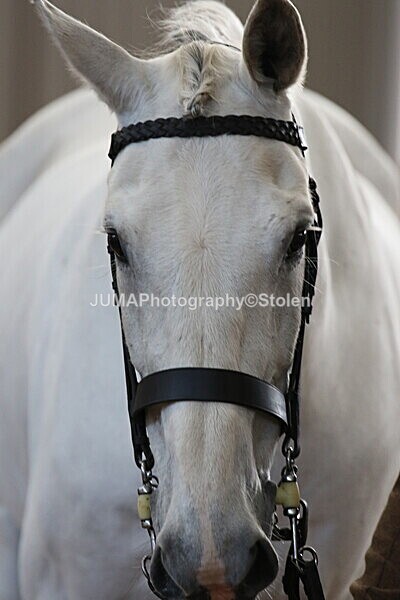 SIAL9715 - Indoor Classes