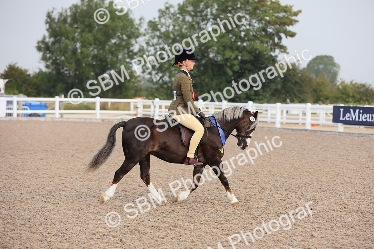 SBM_09694 - Class 301 Ridden M&M -Small Breeds