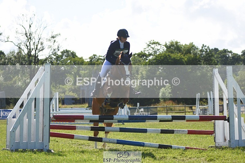 230625-173224-07646 - SJ80 16.55 to 17.50