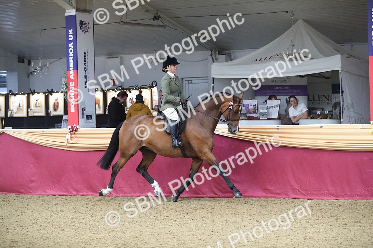SBM_10478 - Class 102 Equitation (best rider) Adult