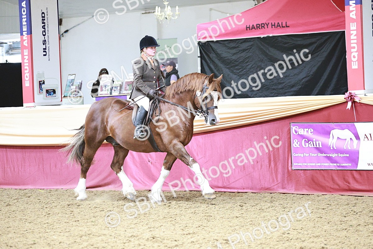 SBM_08635 - Regional Ridden Champ