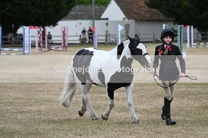 WJ7_8287 - Class 4 Prettiest Mare up to 14.2hh