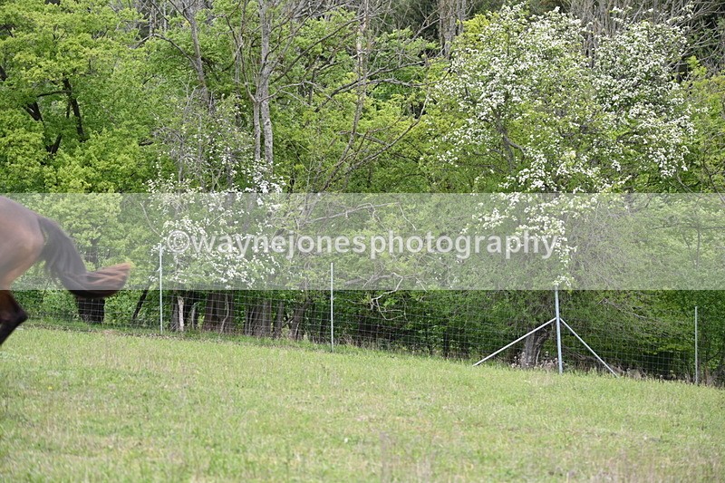 WJ6_2164 - Group 10 A&B Cameras