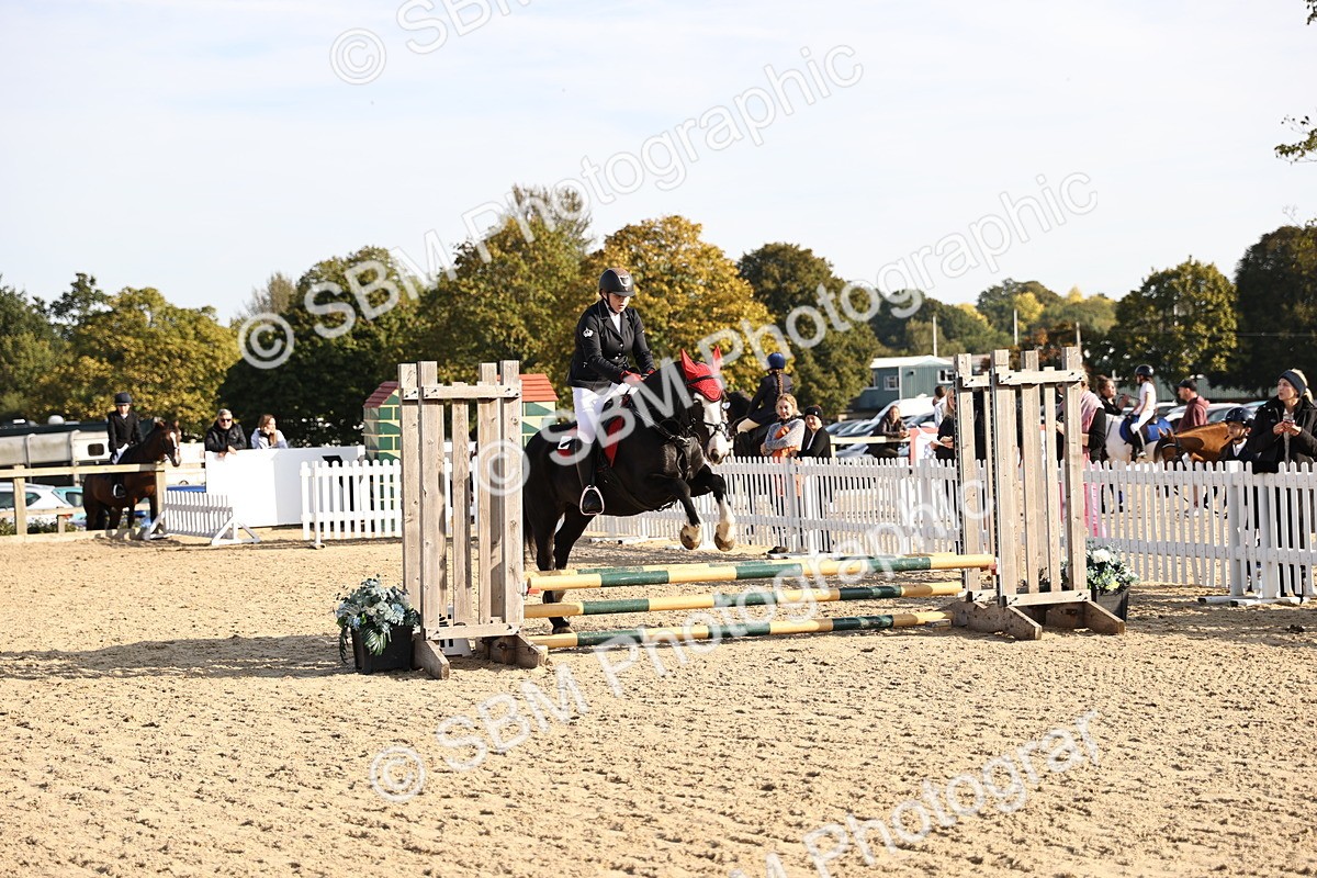 SBM_59667 - J11 - Junior Pony 50cm Championship