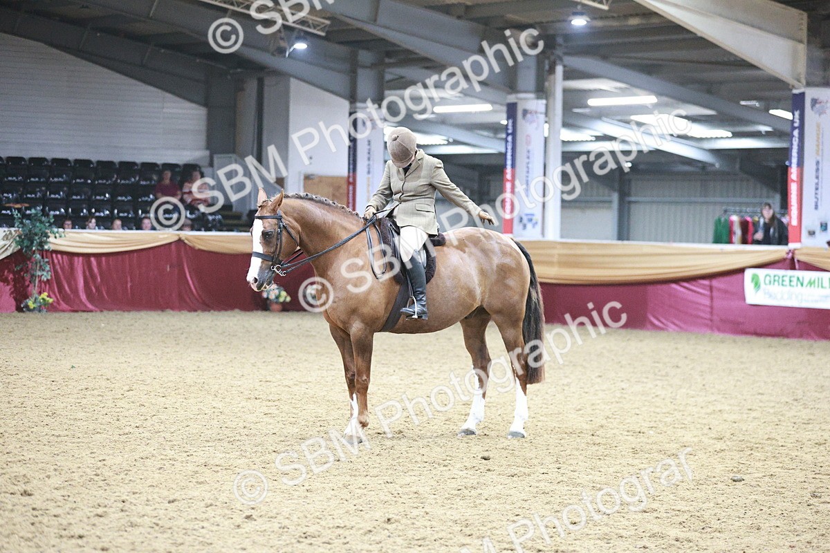 SBM_08964 - Class 12R - Regional Ridden Pre-Vet