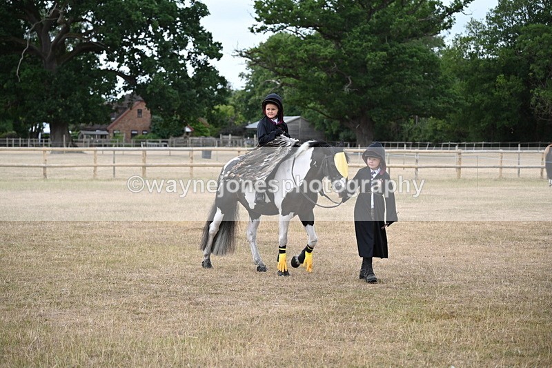 WJ6_8740 - Class 11 Fancy Dress