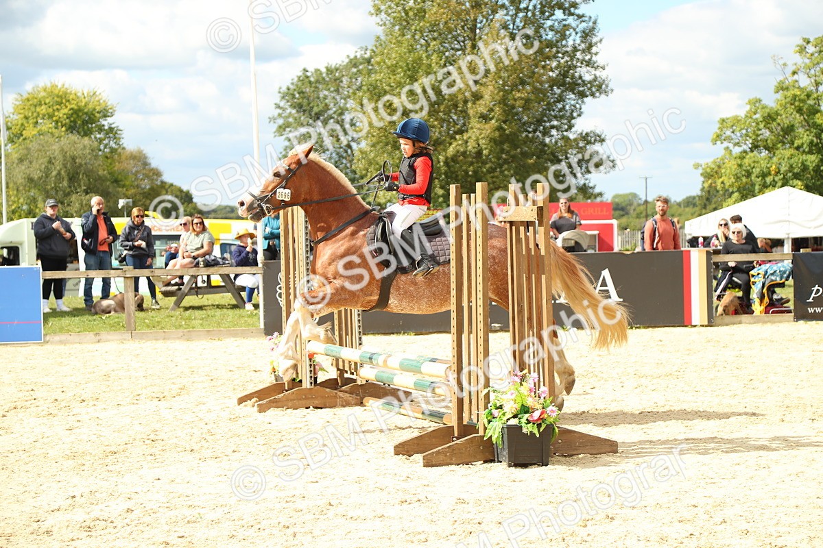 SBM_41363 - J6 - Junior Pony 55cm Championships